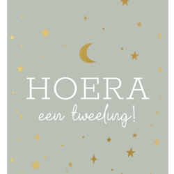 Wenskaart Hoera een tweeling